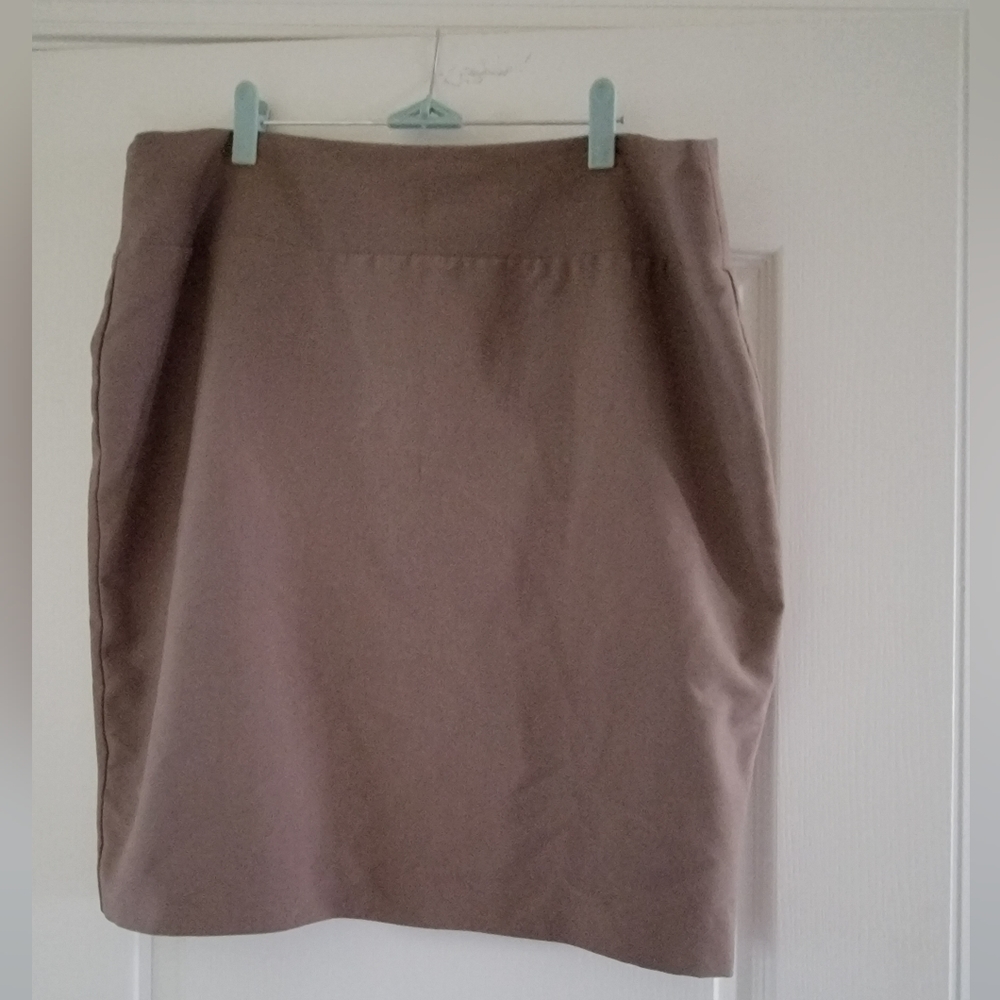 Alfani Skirt